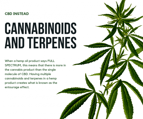 cannabinoids and terpenes, the entourage effect